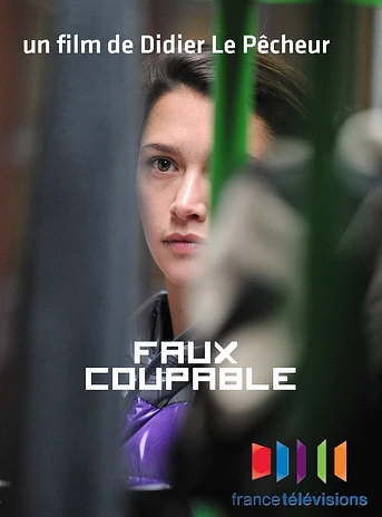 Poster de Falso culpable