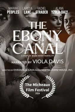 The Ebony Canal: A Story of Black Infant Mortality