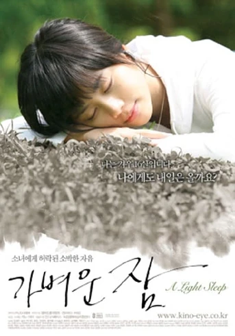 Poster de A Light Sleep