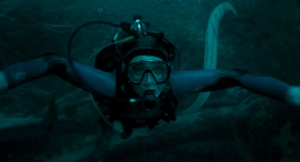 Imagen de whalefall