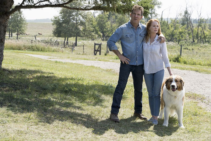 Dennis Quaid y Marg Helgenberger en Tu Mejor Amigo: un Nuevo Viaje