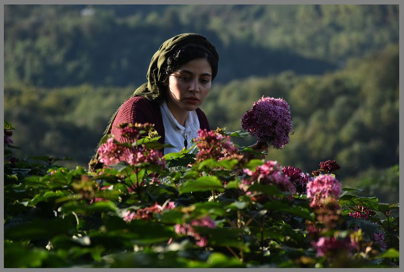 Zhila Shahi en La Vida de los demás