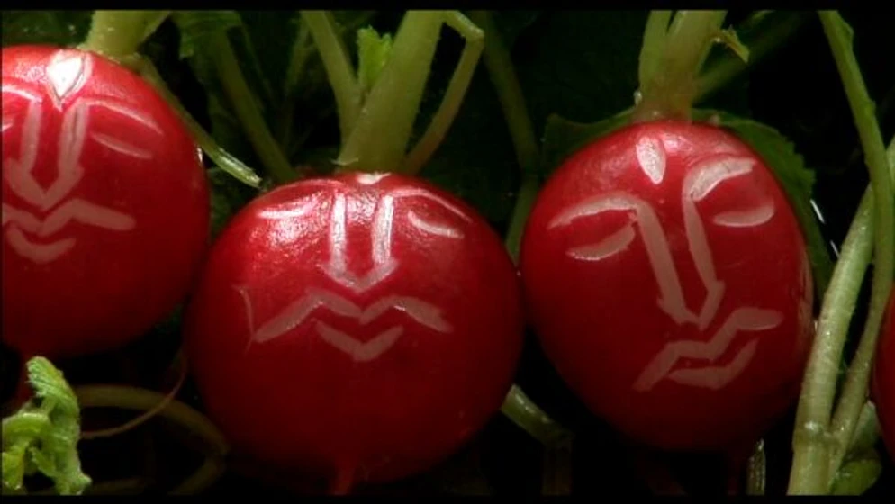 Imagen de como-cocinar-tu-vida