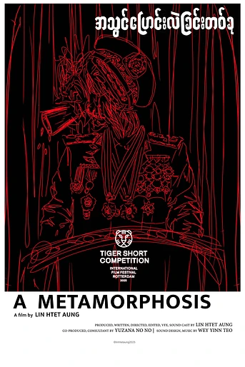 Poster de A Metamorphosis