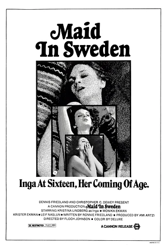 Poster de Maid in Sweden