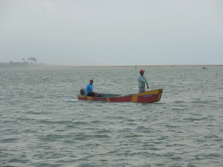 Imagen de Missing Rio Doce