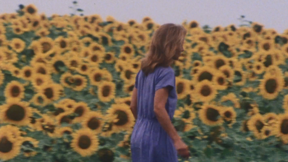 Imagen de Une petite fille dans les tournesols