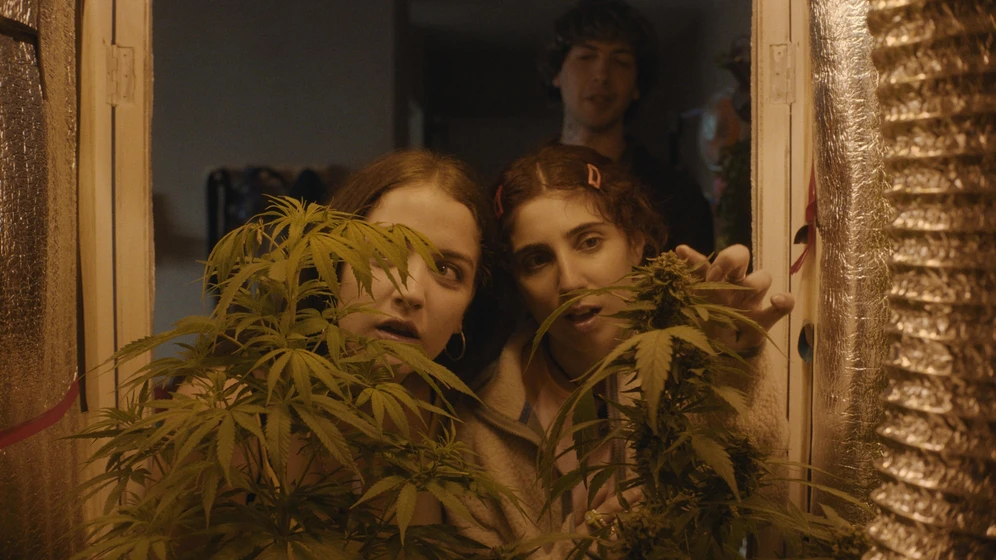 Miranda de la Serna, Simón Saieg y Zoe Hochbaum en verano-trippin