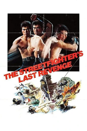 Poster de The Street Fighter's Last Revenge