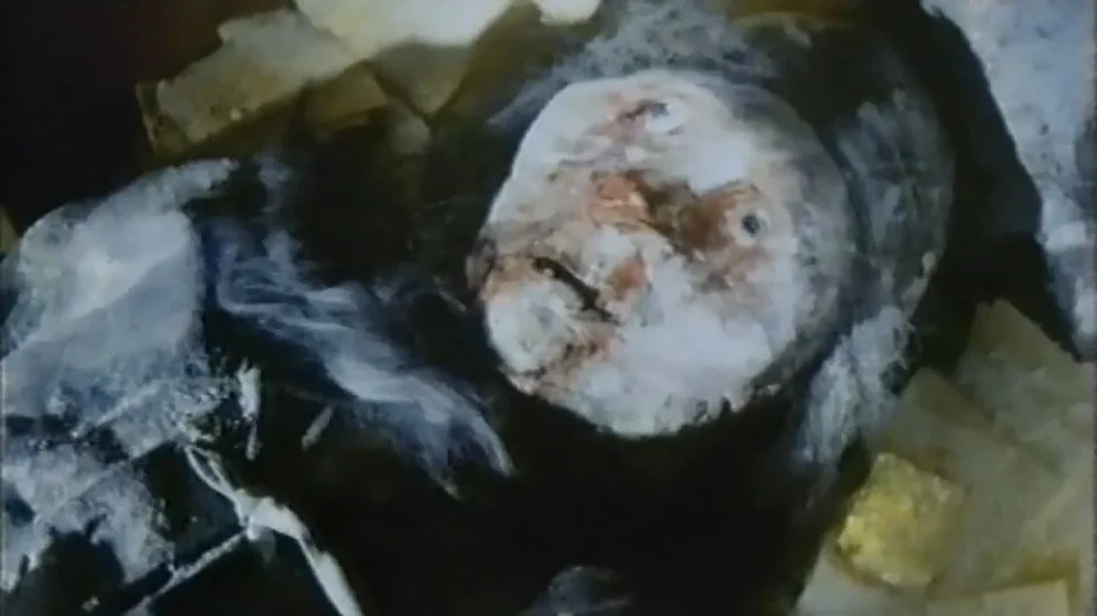 Imagen de kung-fu-zombie