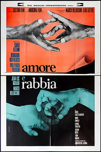 Poster de Amor y Rabia