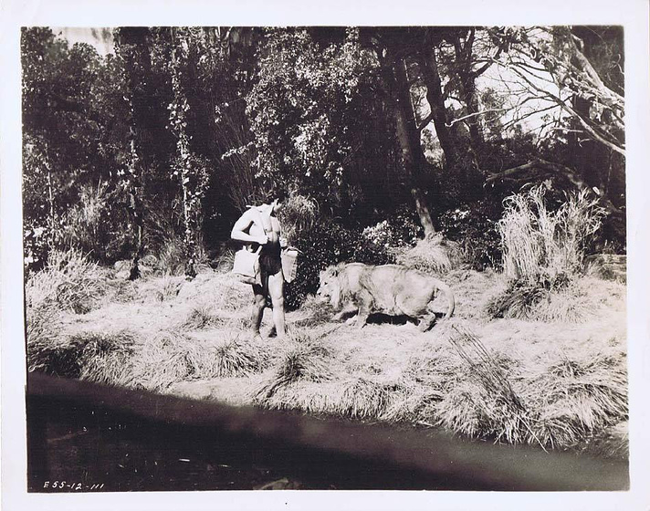 Imagen de Tarzan y el Safari Perdido