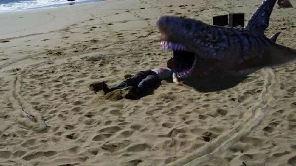 Imagen de Sand Sharks