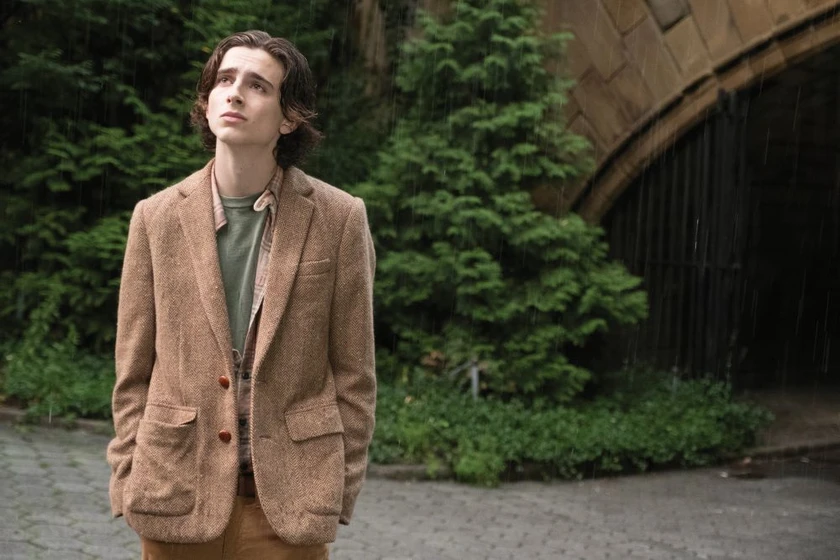 Timothée Chalamet en dia-de-lluvia-en-nueva-york
