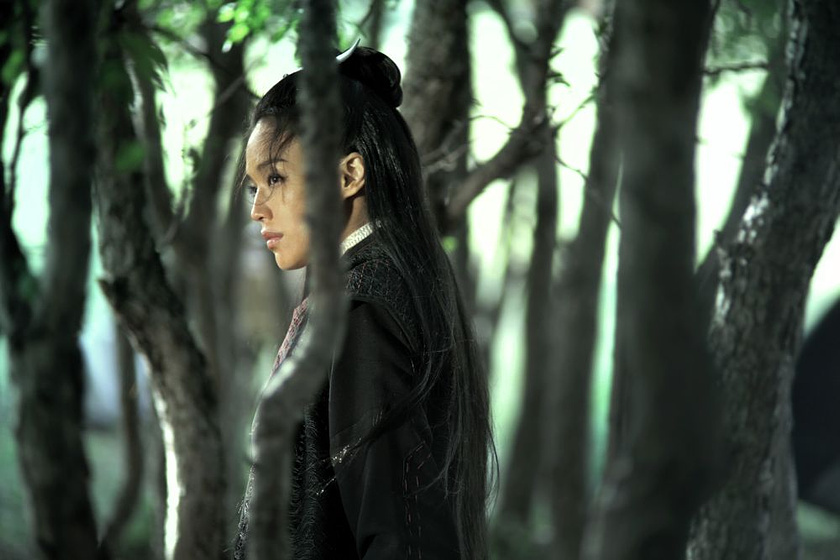 Qi Shu en The Assassin