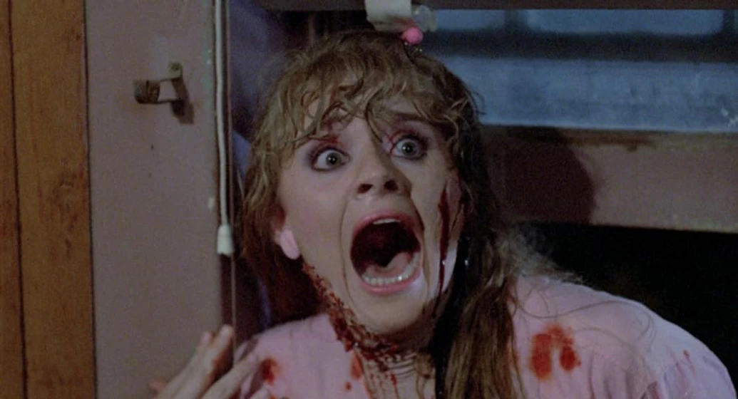 Erika Buenfil en cementerio-del-terror