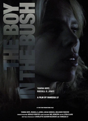 Poster de The Boy in the Bush