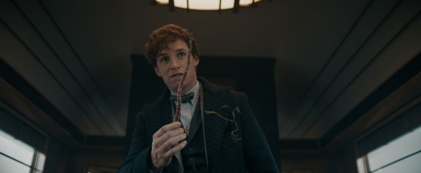 Eddie Redmayne en Animales Fantásticos: Los Secretos de Dumbledore