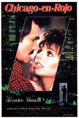 poster of movie Rent a cop