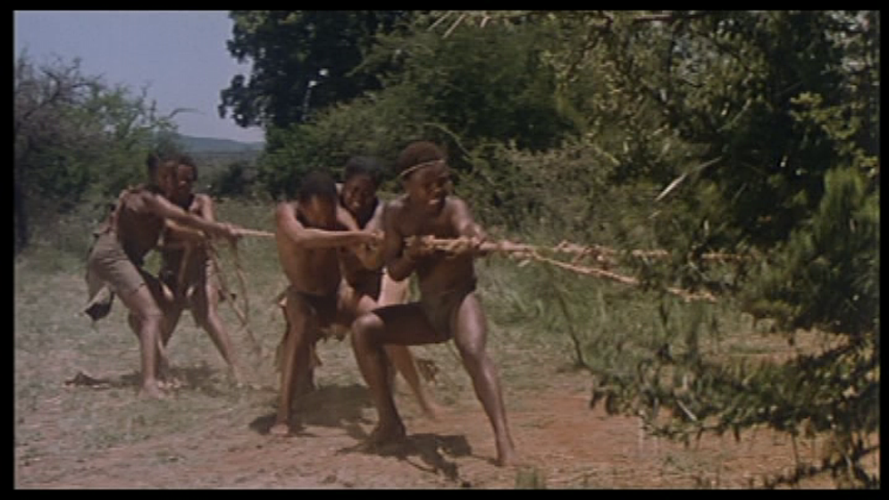 Imagen de los-dioses-deben-estar-locos-3-crazy-safari