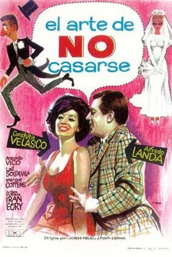 Poster de El Arte de no casarse
