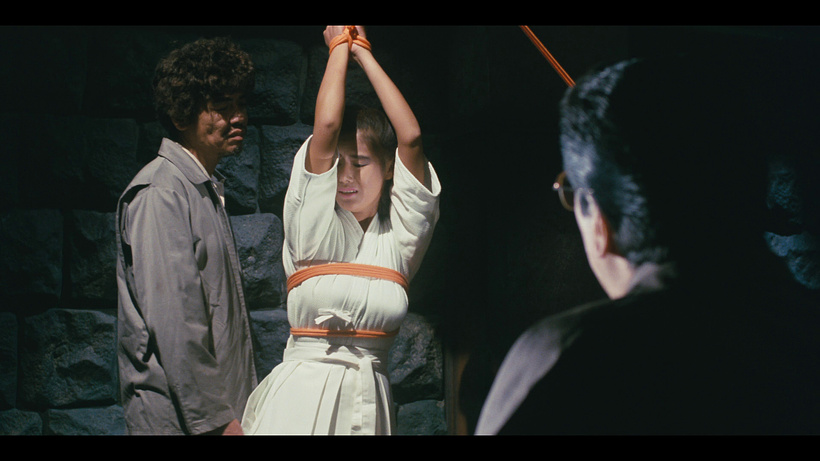 Imagen de Beautiful Teacher in Torture Hell