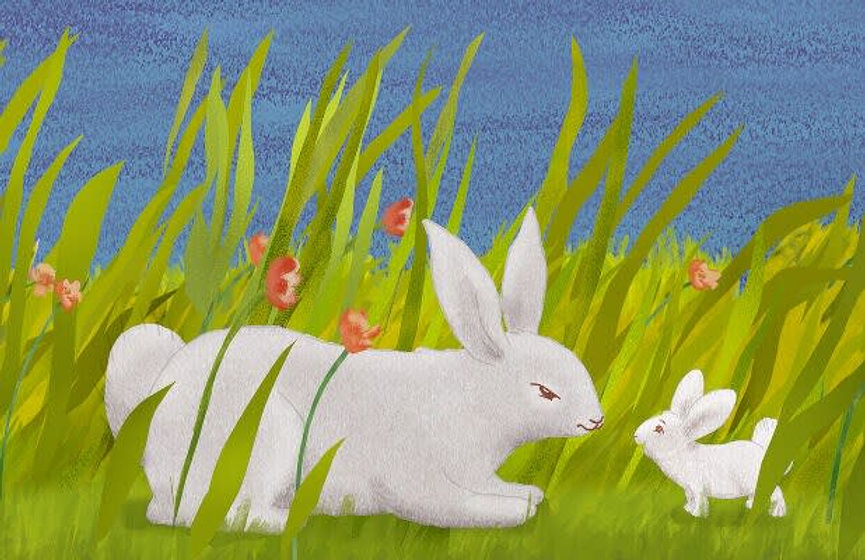 Imagen de The Runaway Bunny
