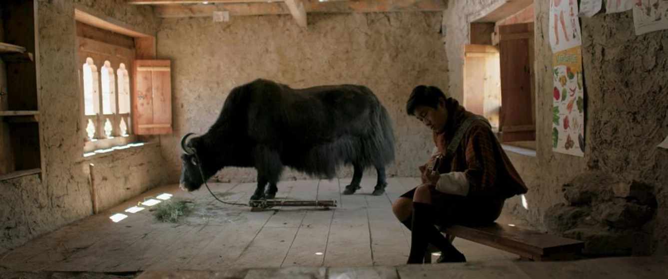 Imagen de lunana-un-yak-en-la-escuela