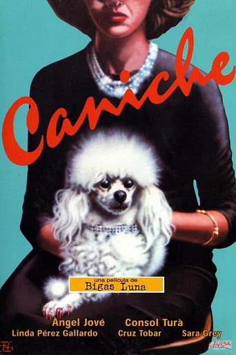 Poster de Caniche