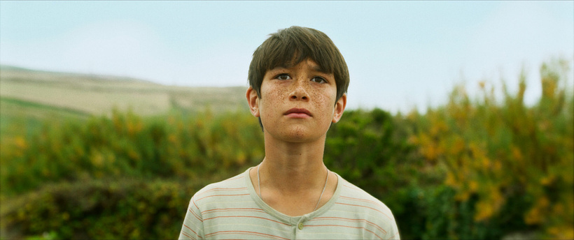 Imagen de Edge of Summer