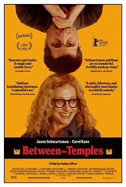 poster of movie Entre los Templos