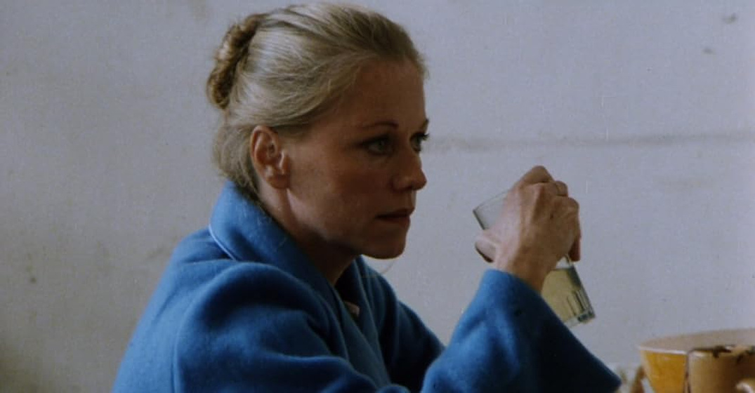 Imagen de El Ataque de los Pájaros