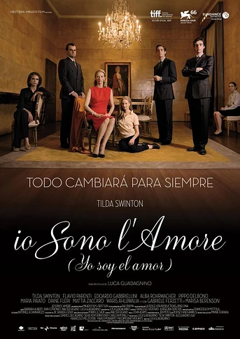 Poster de Yo soy el amor