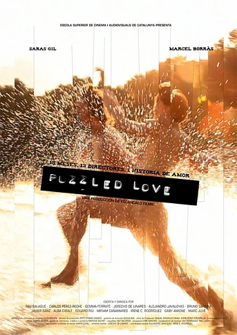 Poster de Puzzled Love