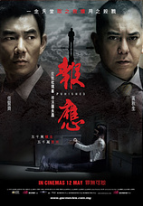 poster of movie Punished