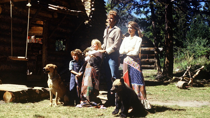 Imagen de La Montaña de la Familia Robinson