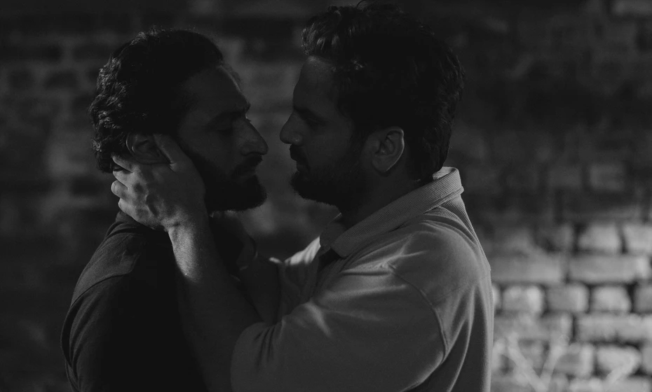 Imagen de birds-in-the-dark