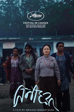 Elephants in the Fog