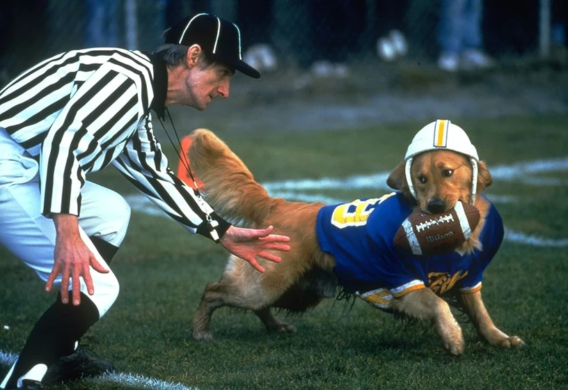 Frank C. Turner en air-bud-2-el-fichaje-de-la-liga