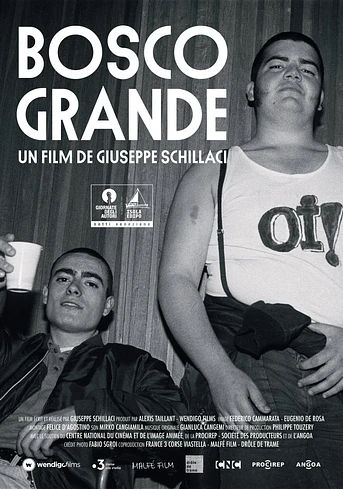 Poster de Big Forest