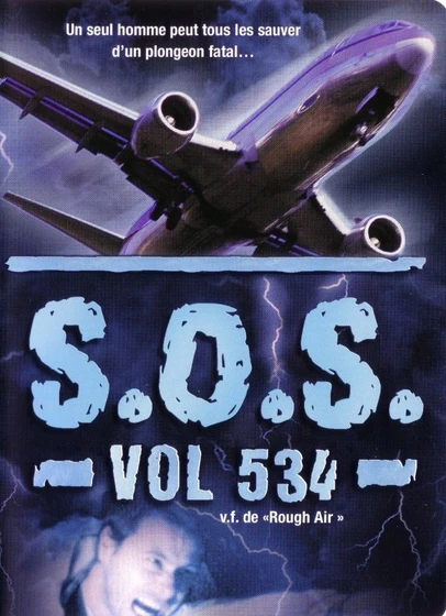 Imagen de panico-en-el-vuelo-534 (Poster)
