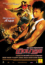 poster of movie Born to fight