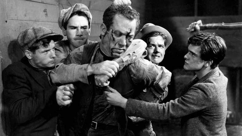 Imagen de Wild Boys of the Road