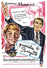 poster of movie Querida Brigitte