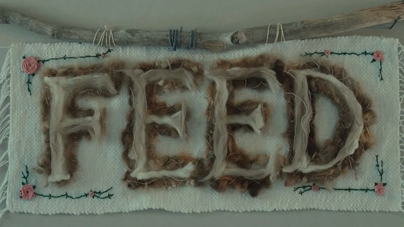 Imagen de Feed