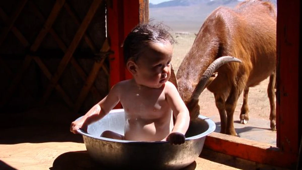 Imagen de bebes
