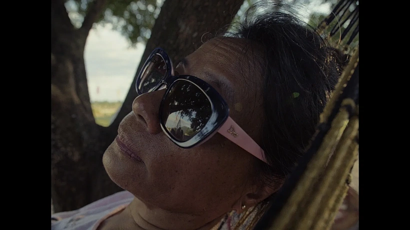 Imagen de In the Morning Sun