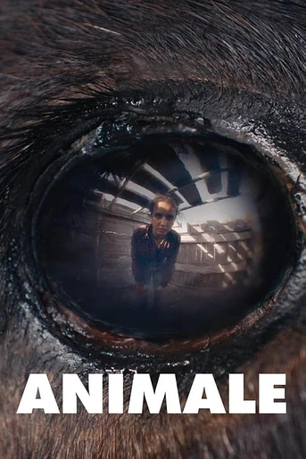 Poster de Animale