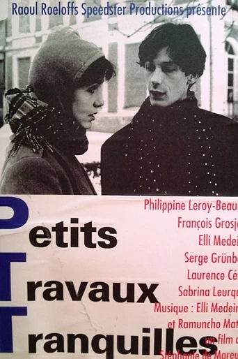 Poster de Petits travaux tranquilles