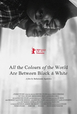All the Colours of the World are between black and white
